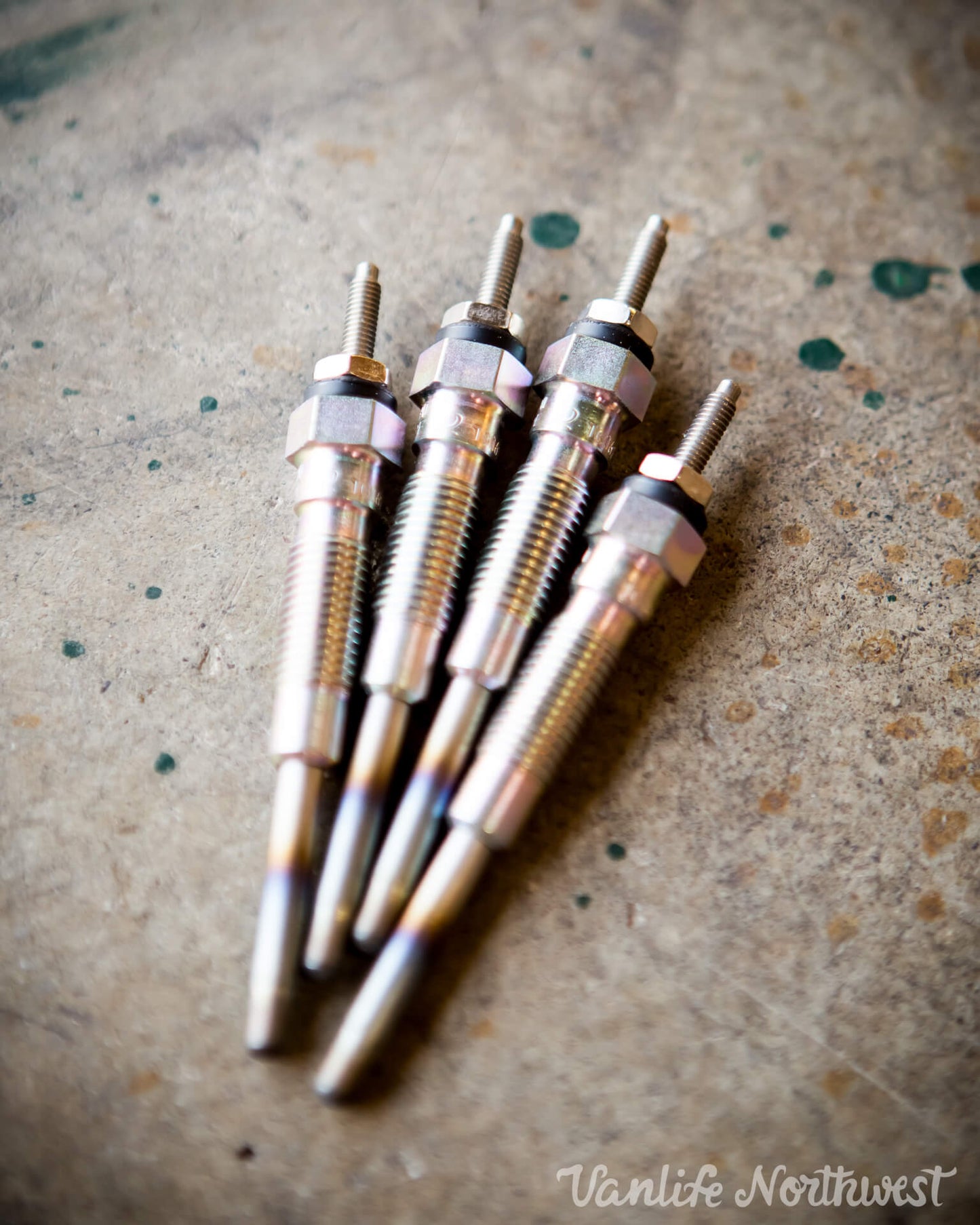 Glow Plugs - Set of (4)