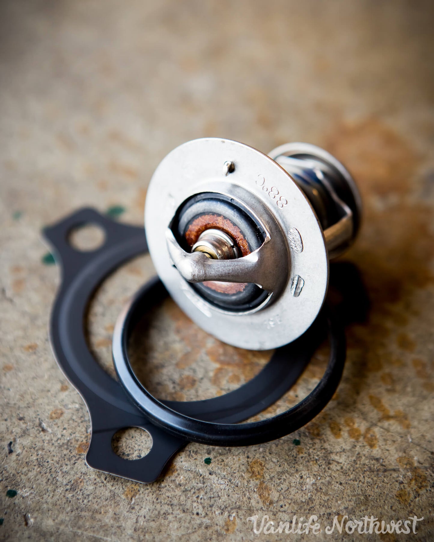 Thermostat & Gasket