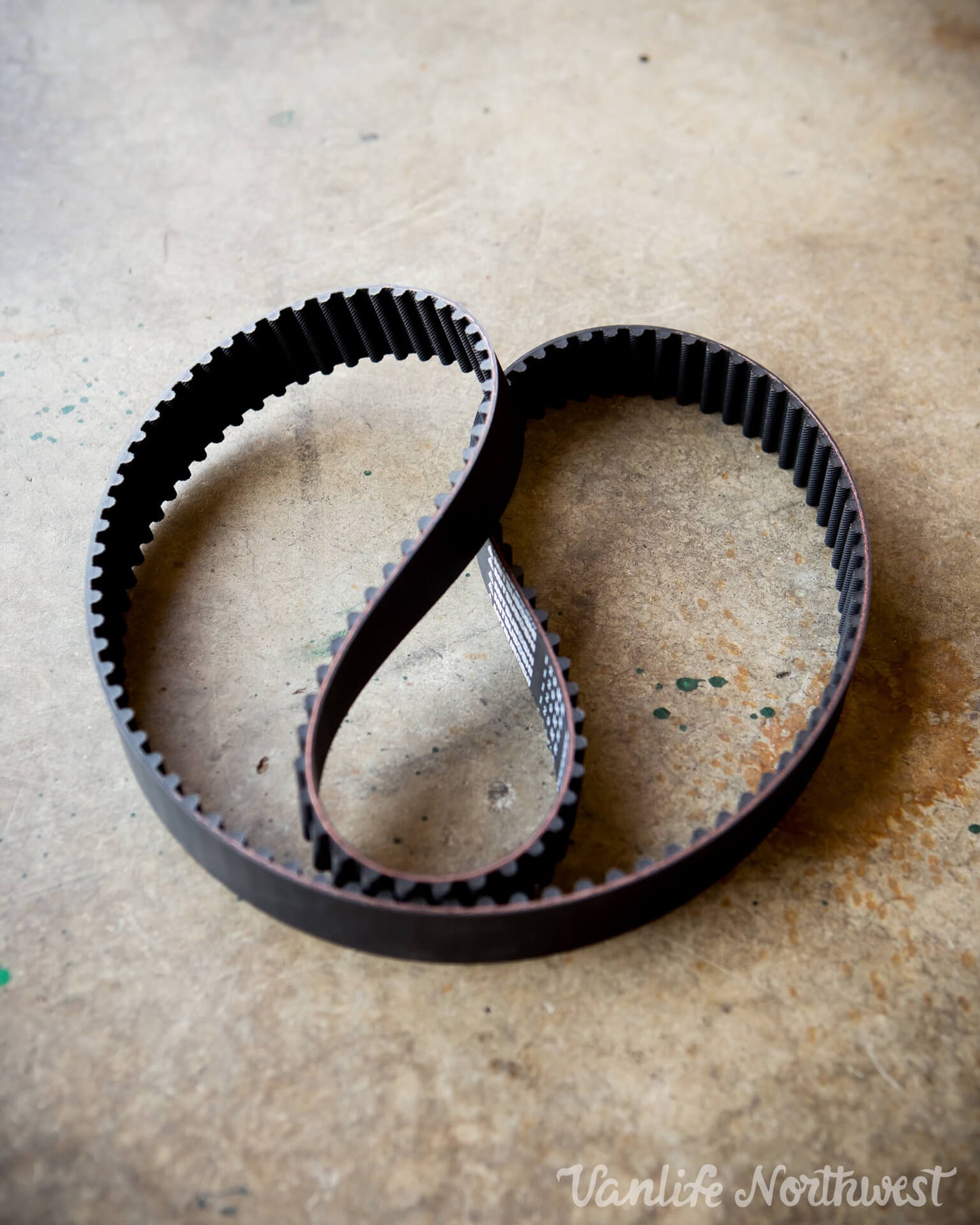 Timing Belt